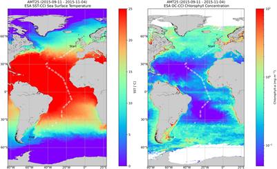 Complementary Approaches to Assess Phytoplankton Groups and Size Classes on a Long Transect in the Atlantic Ocean